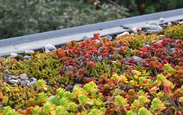 the cost of Wexcombe green roof installation