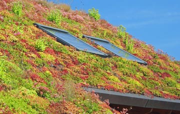 Wexcombe living roof systems