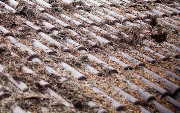 Wexcombe roof cleaning companies