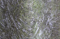 Wexcombe fibreglass roof work